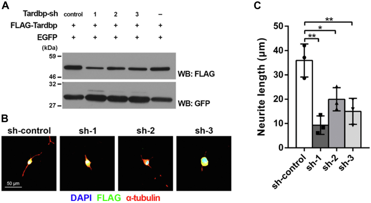 Figure 3