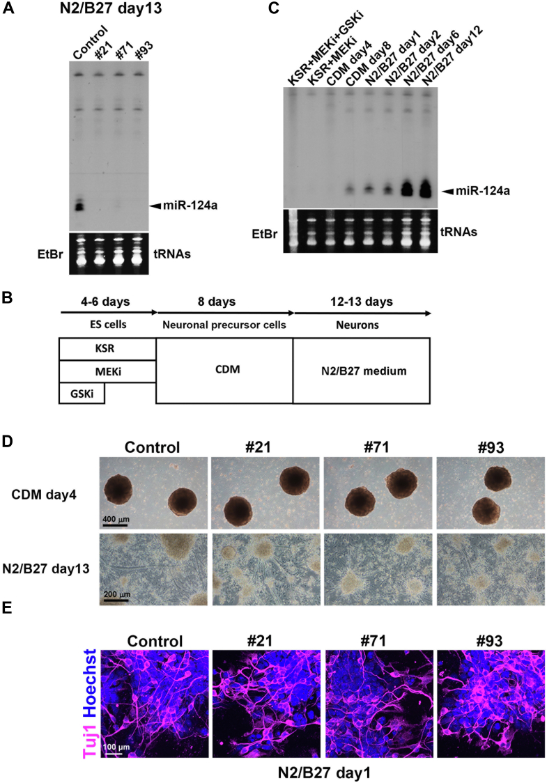 Figure 4