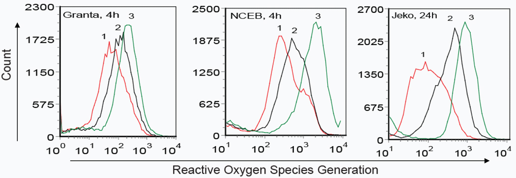 Fig. 3