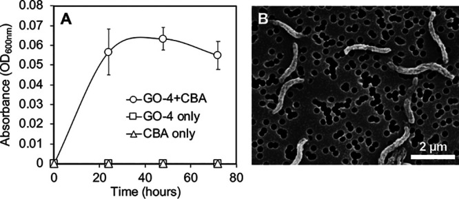 FIG 2