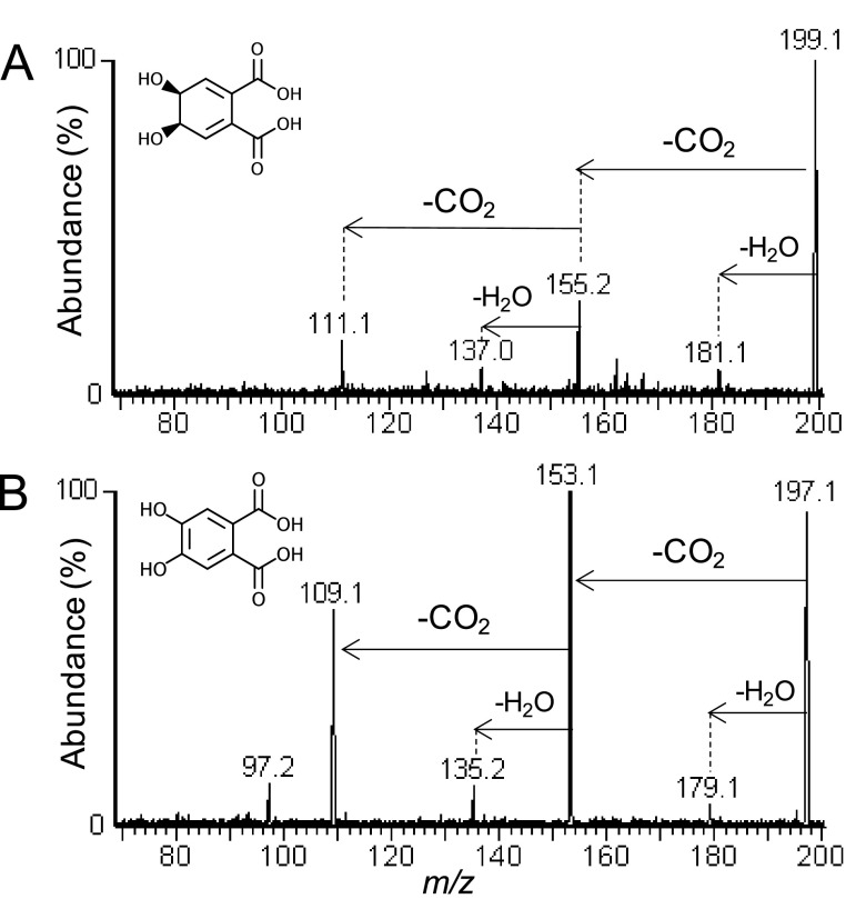 FIG 6