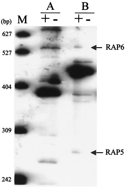 FIG. 6.