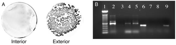 FIG. 5.