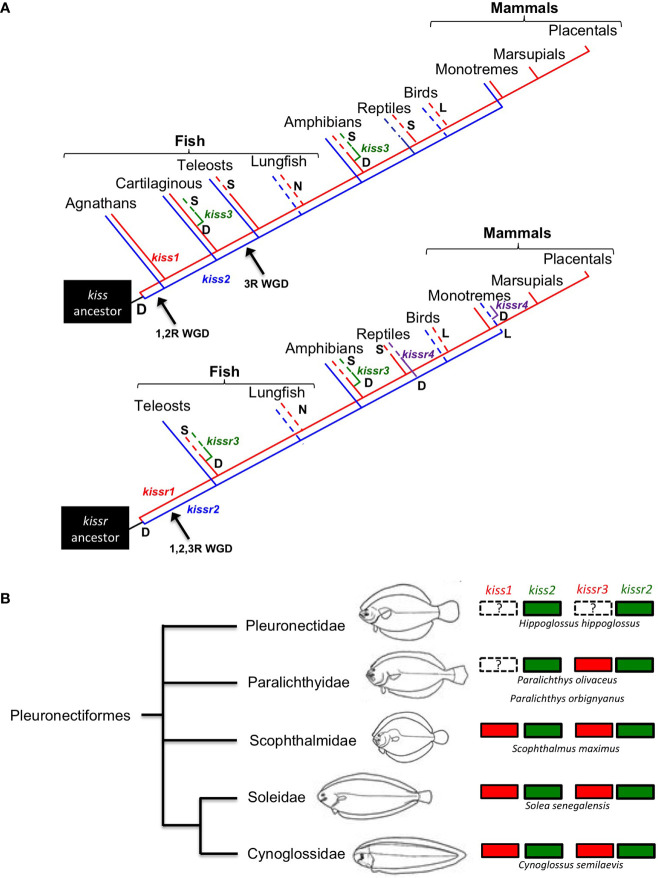Figure 1
