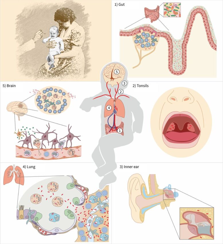 FIGURE 3