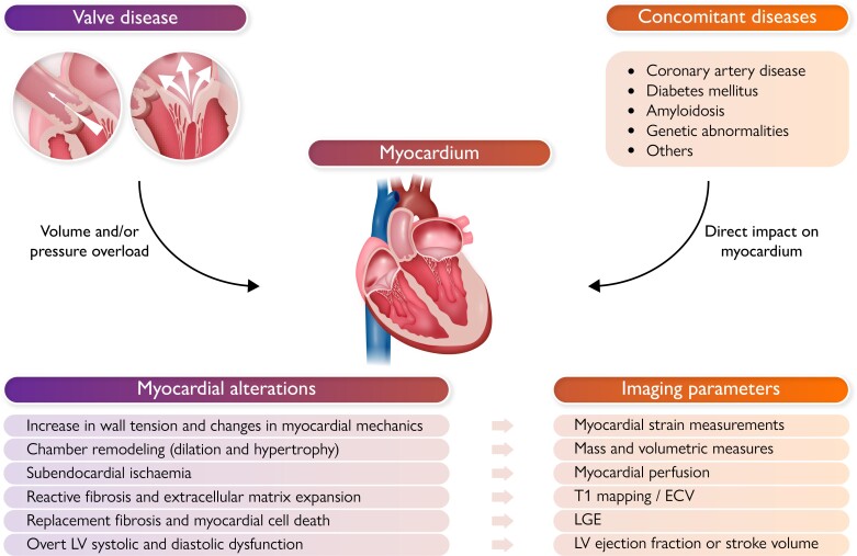 Graphical Abstract