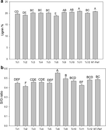 Fig. 6