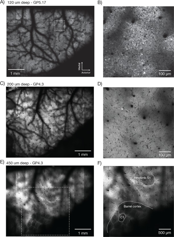 Figure 7.