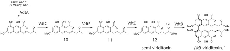 Fig. 7