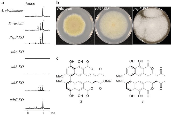 Fig. 3