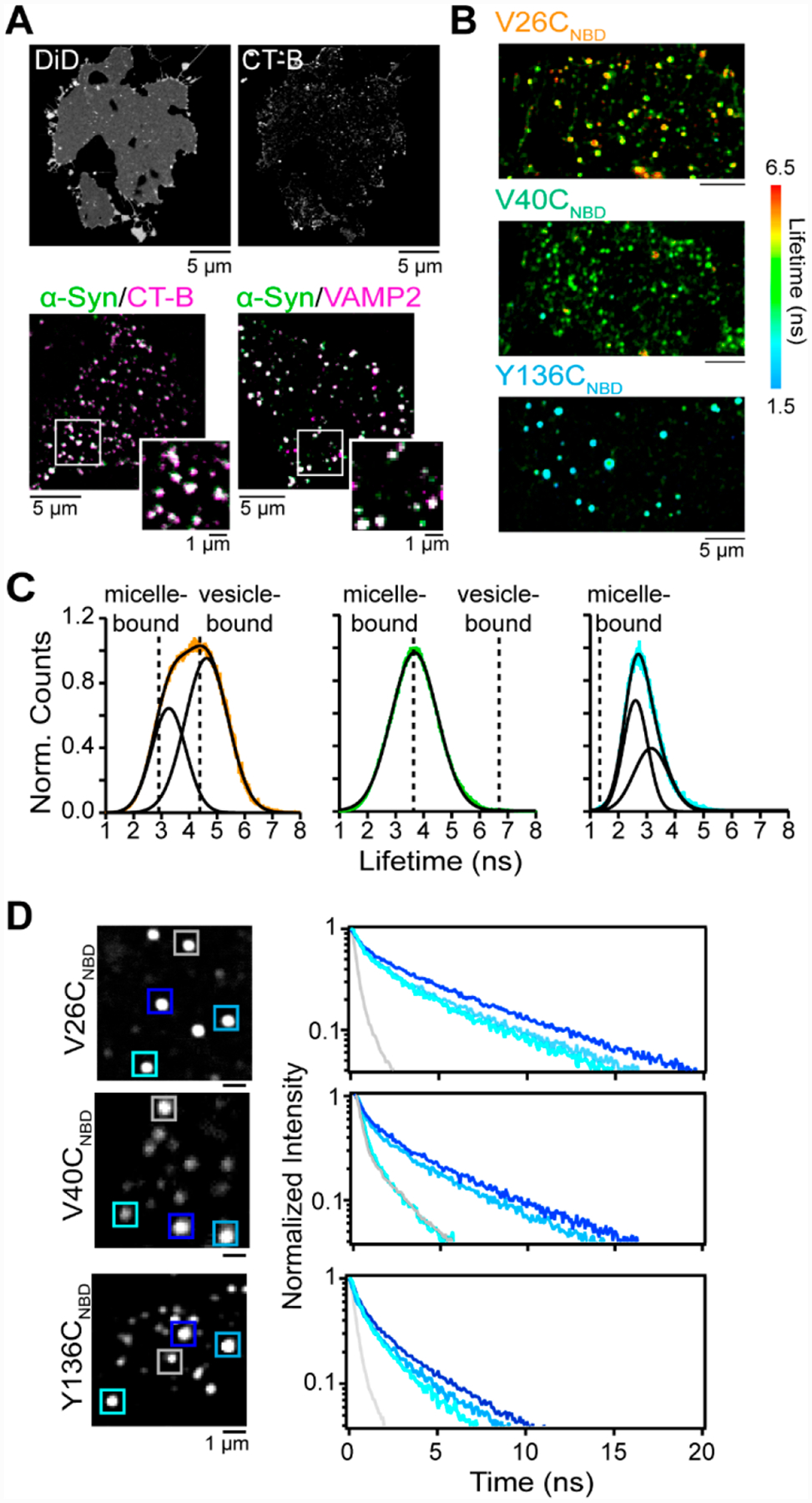 Figure 6.