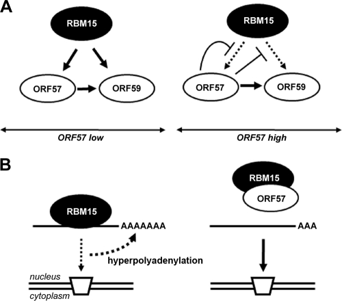 FIG. 12.