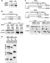 FIG. 8.