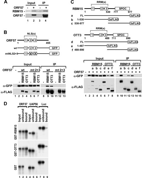 FIG. 8.