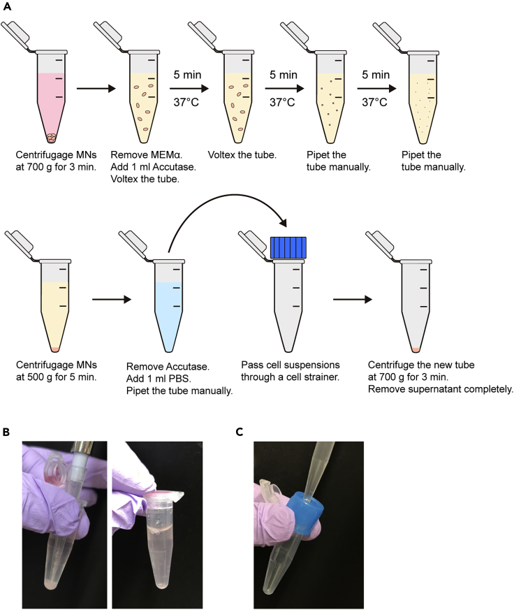 Figure 4