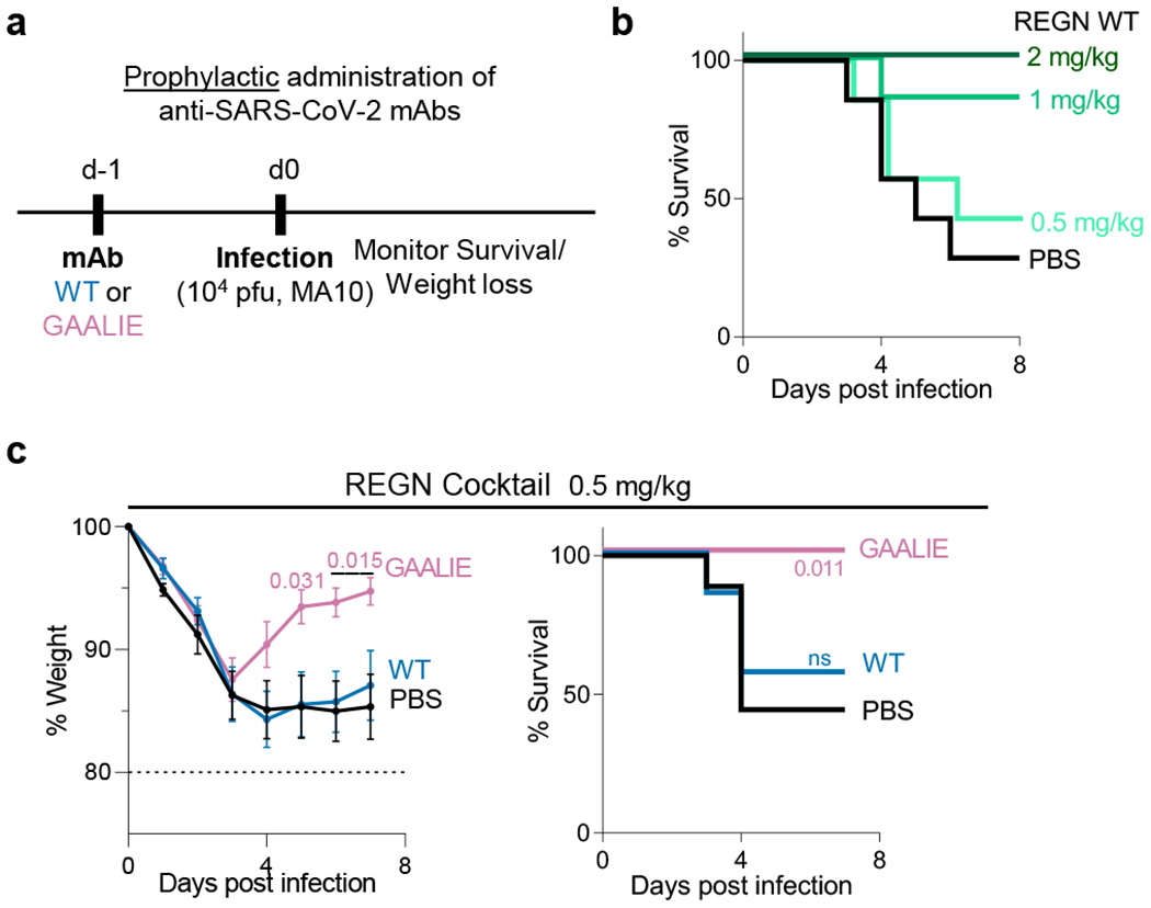 Fig. 4: