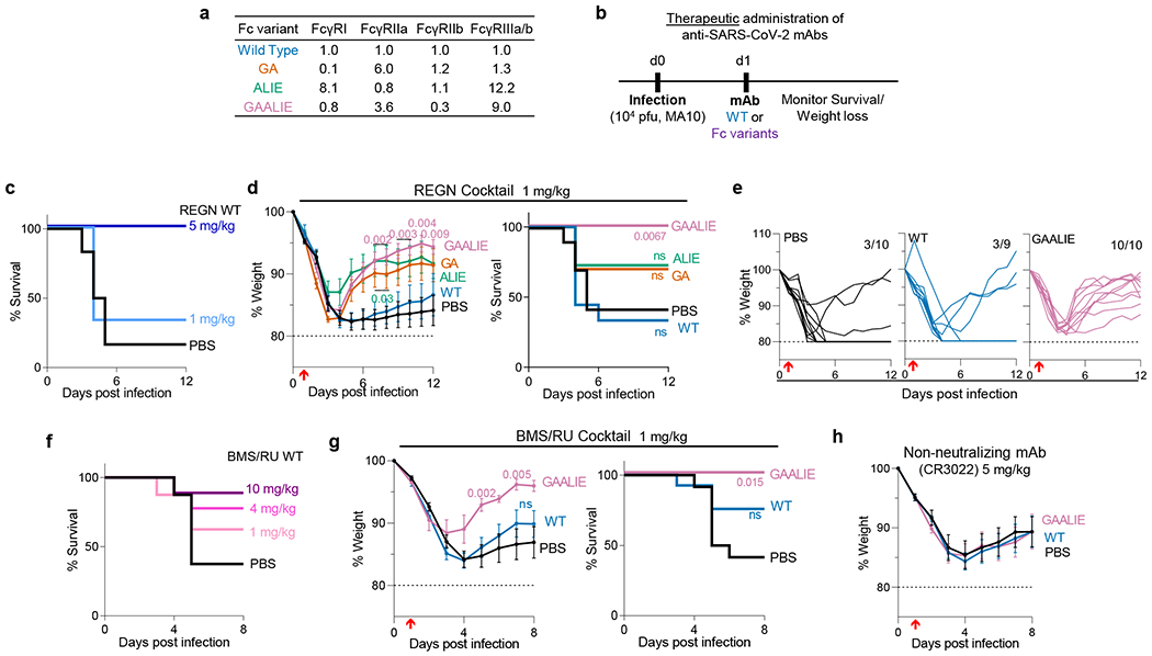 Fig. 3: