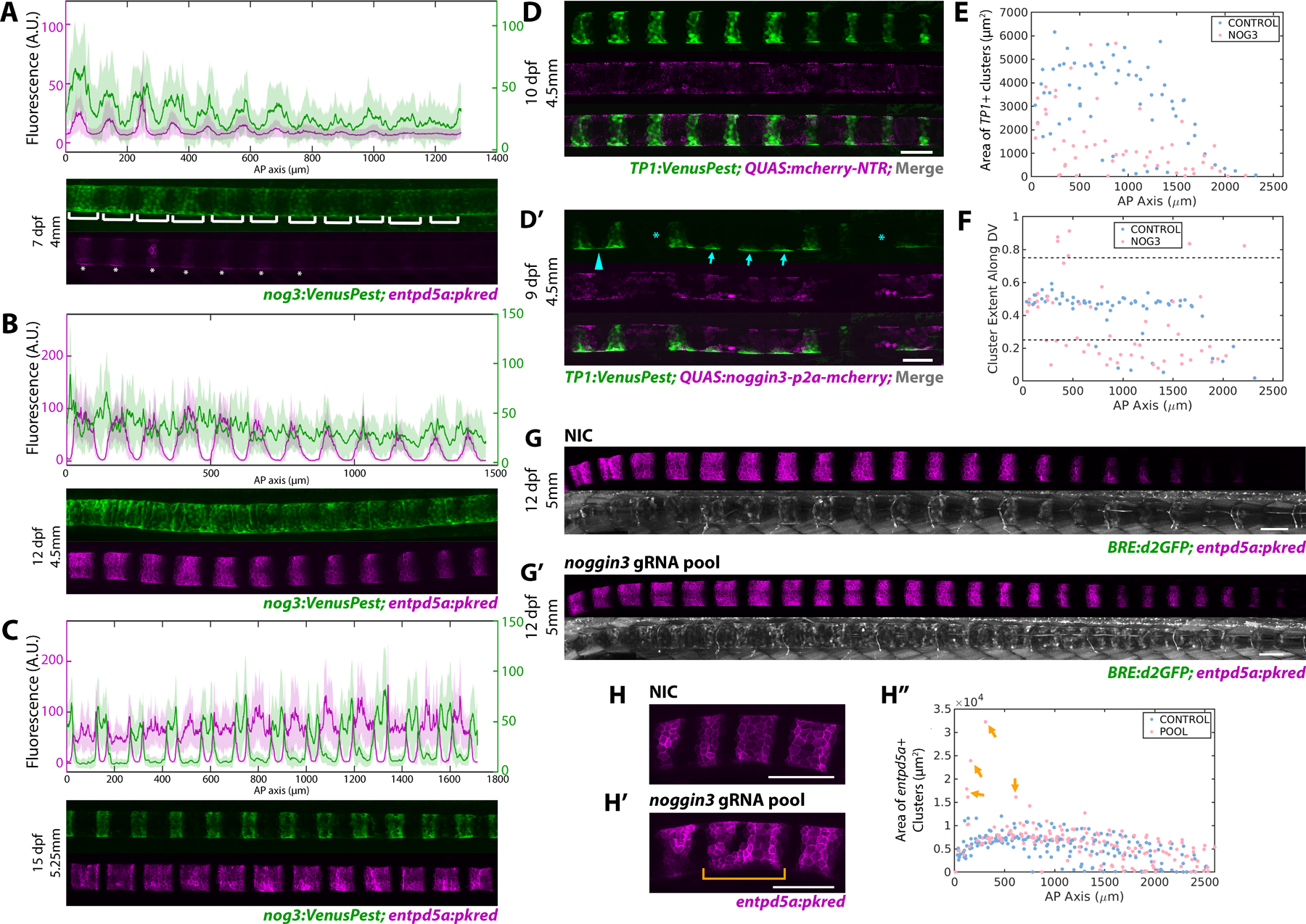 Figure 4: