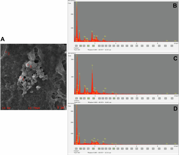 Extended Data Fig. 6