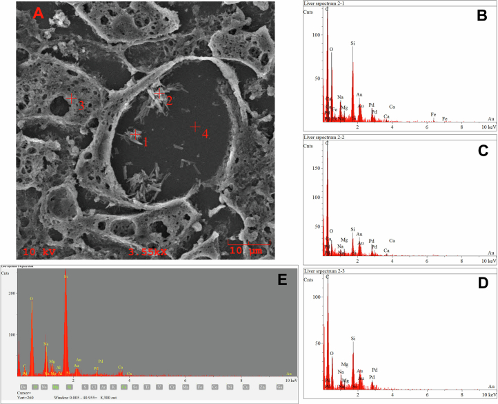 Extended Data Fig. 4