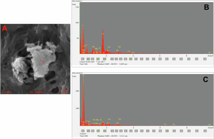 Extended Data Fig. 5