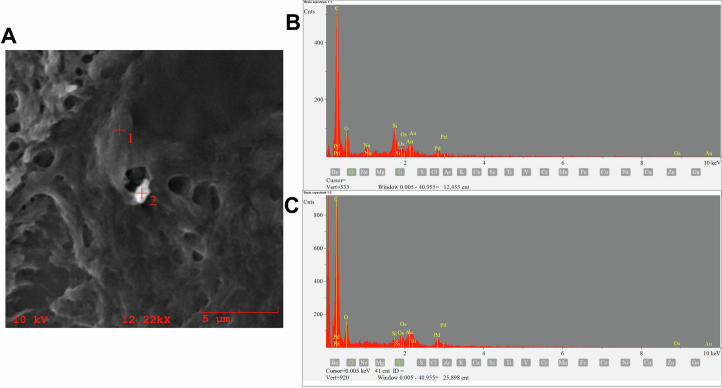 Extended Data Fig. 7