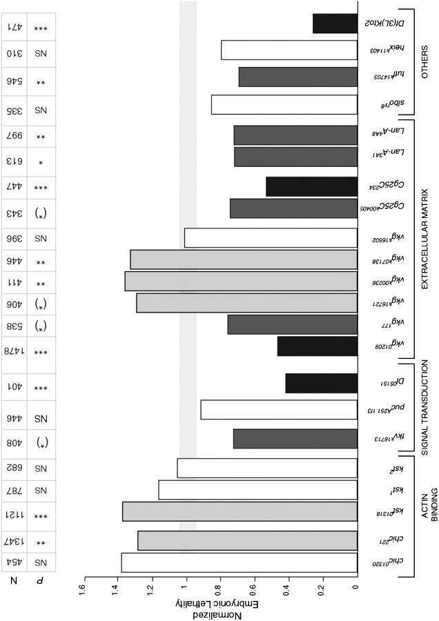 Figure 4.—