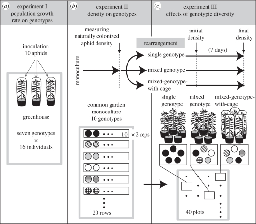 Figure 1.