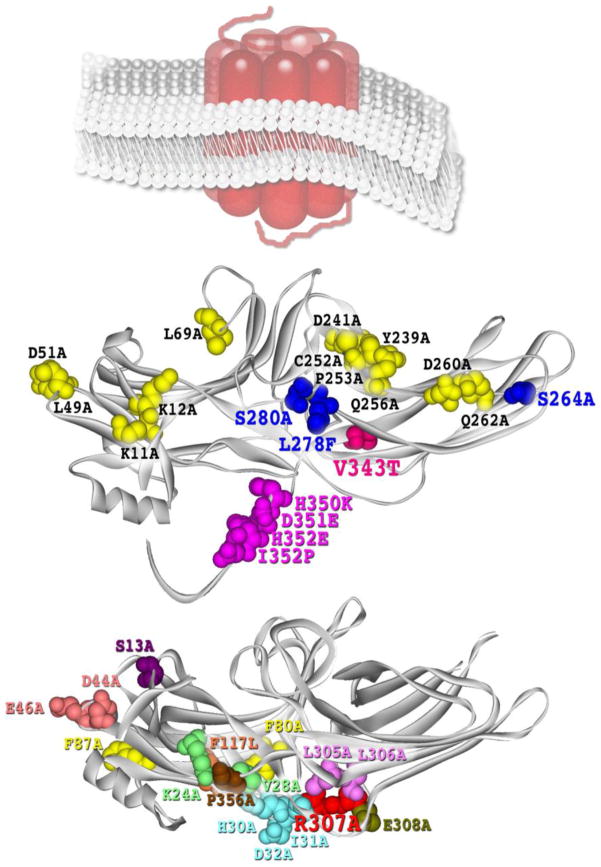 Fig. 2