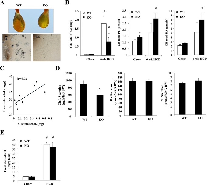 FIGURE 4.