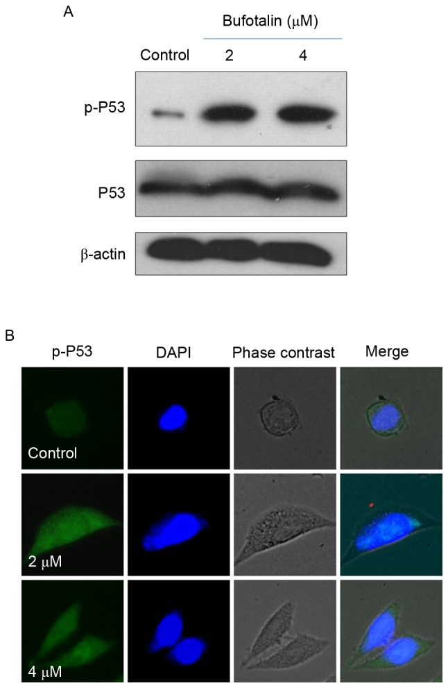 Figure 4.