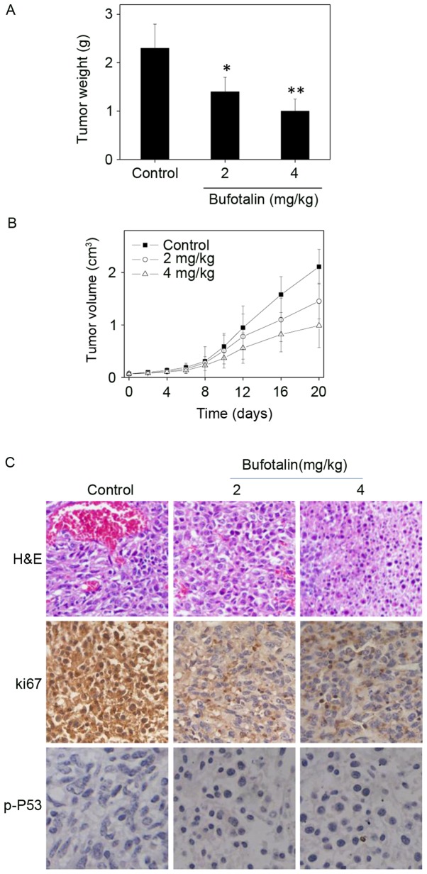 Figure 6.