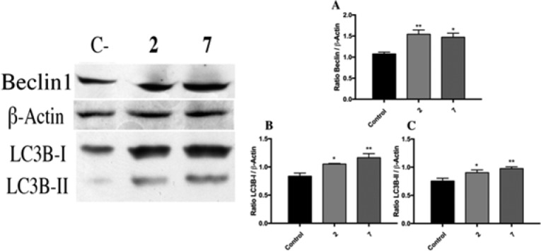 Figure 5