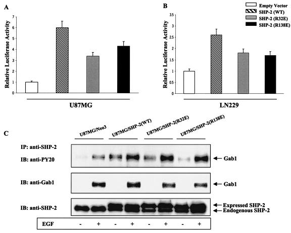 FIG. 8.