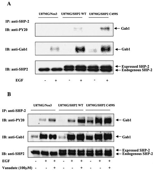 FIG. 9.