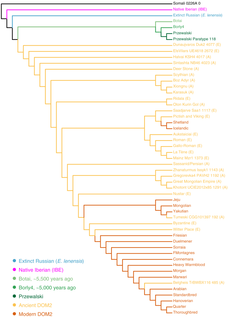 Figure 3