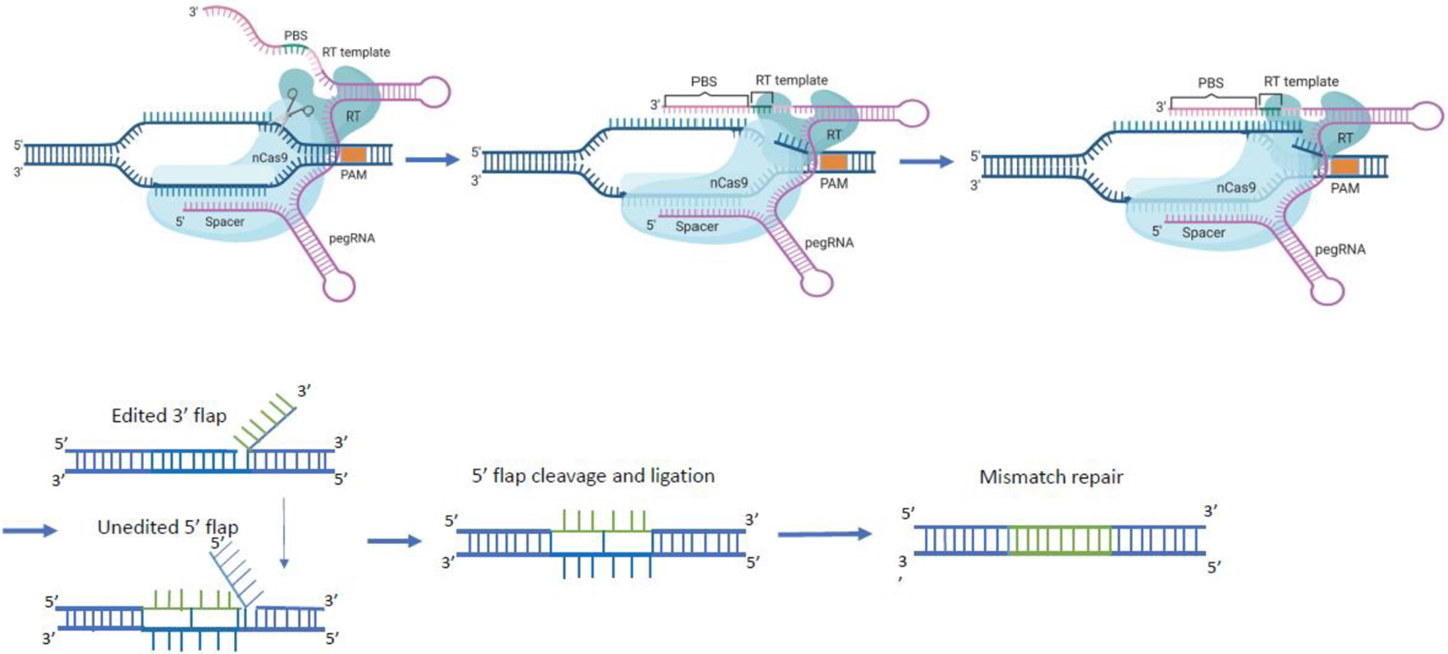 Figure 2.