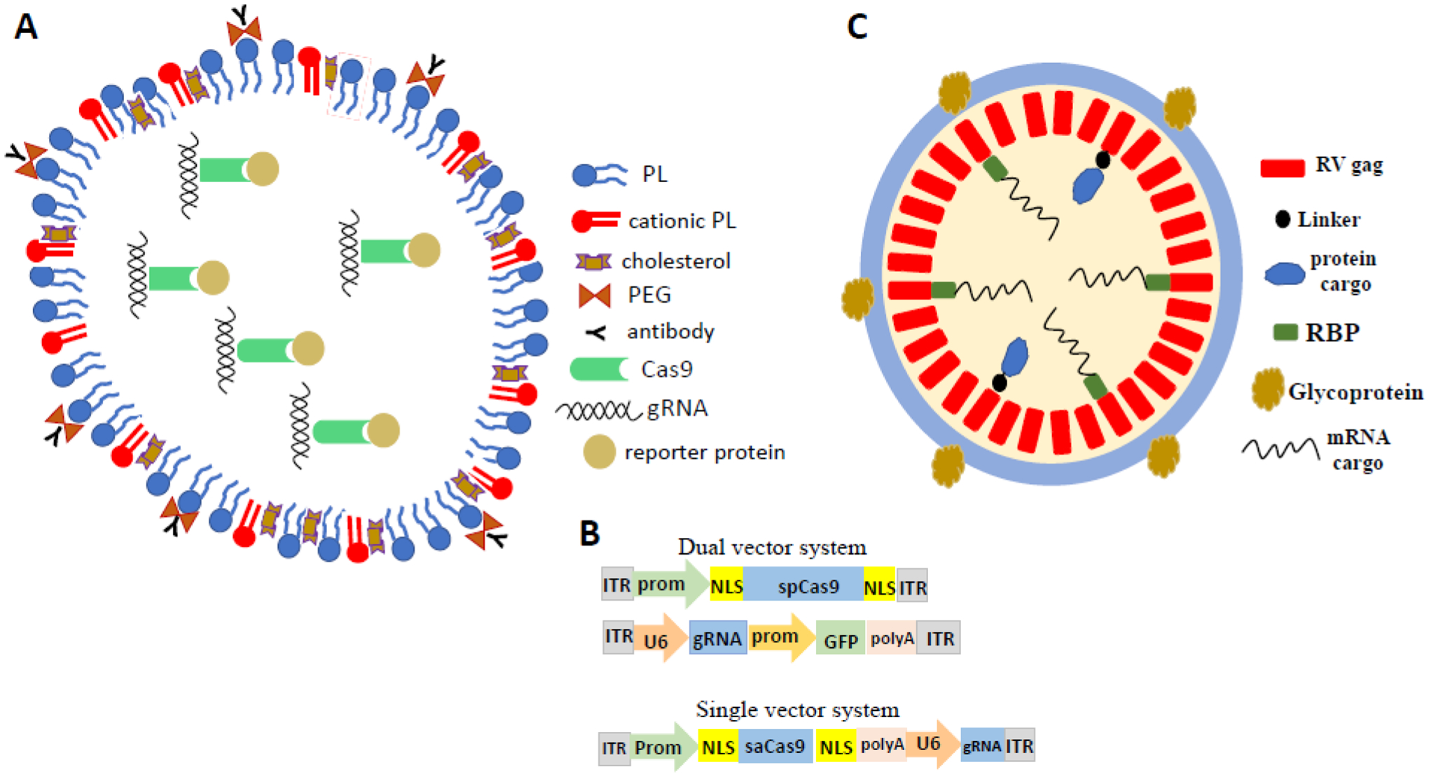 Figure 3.