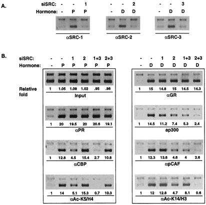 FIG. 6.