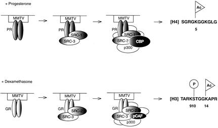 FIG. 7.