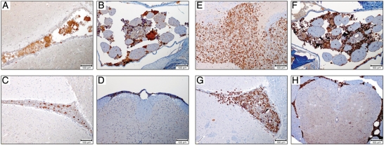 Fig. 6.