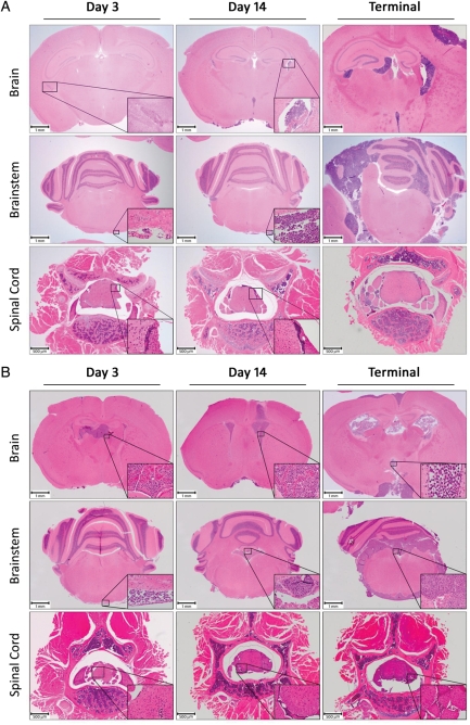 Fig. 2.