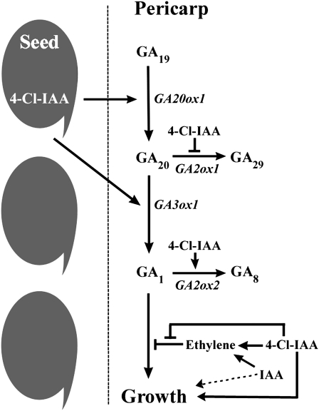 Figure 7.