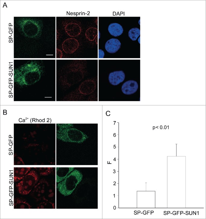 Figure 6.