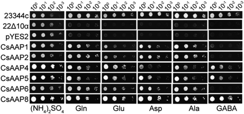 Figure 1.