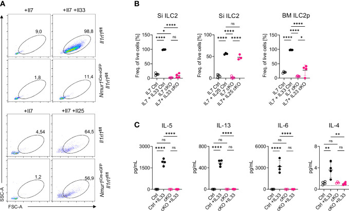 Figure 2