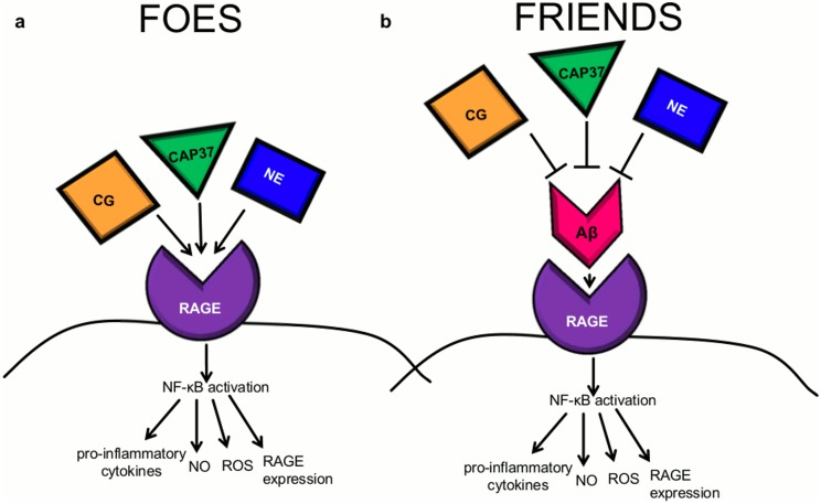 Fig 11