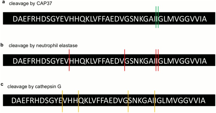 Fig 10