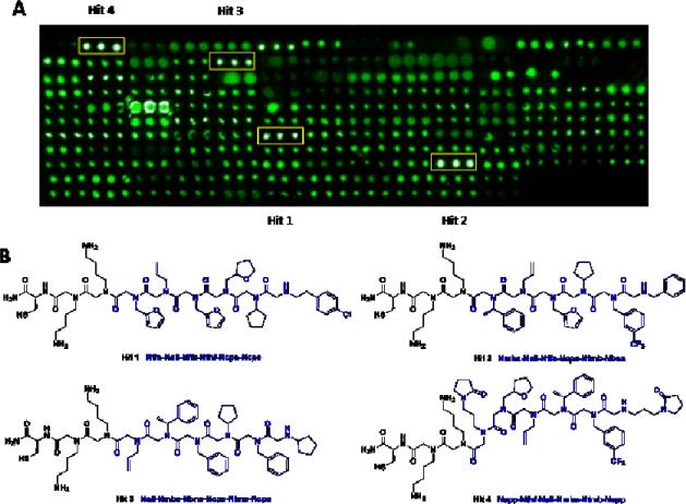 Fig. 4