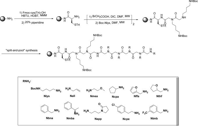 Fig. 2